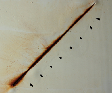 Tec7 marine applications tests