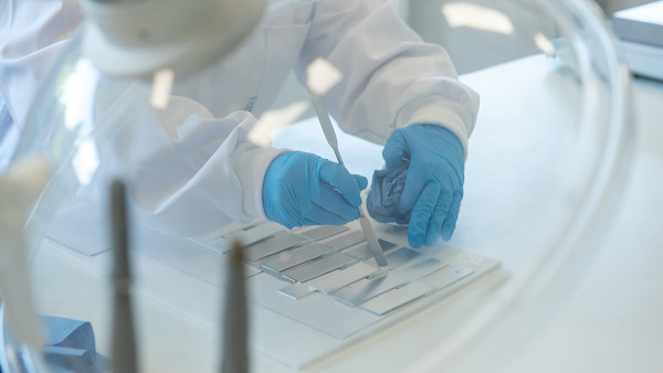 health_safety_usability_web